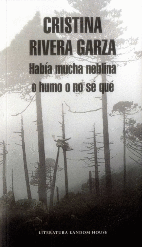 HABIA MUCHA NEBLINA O HUMO O NO SE QUE