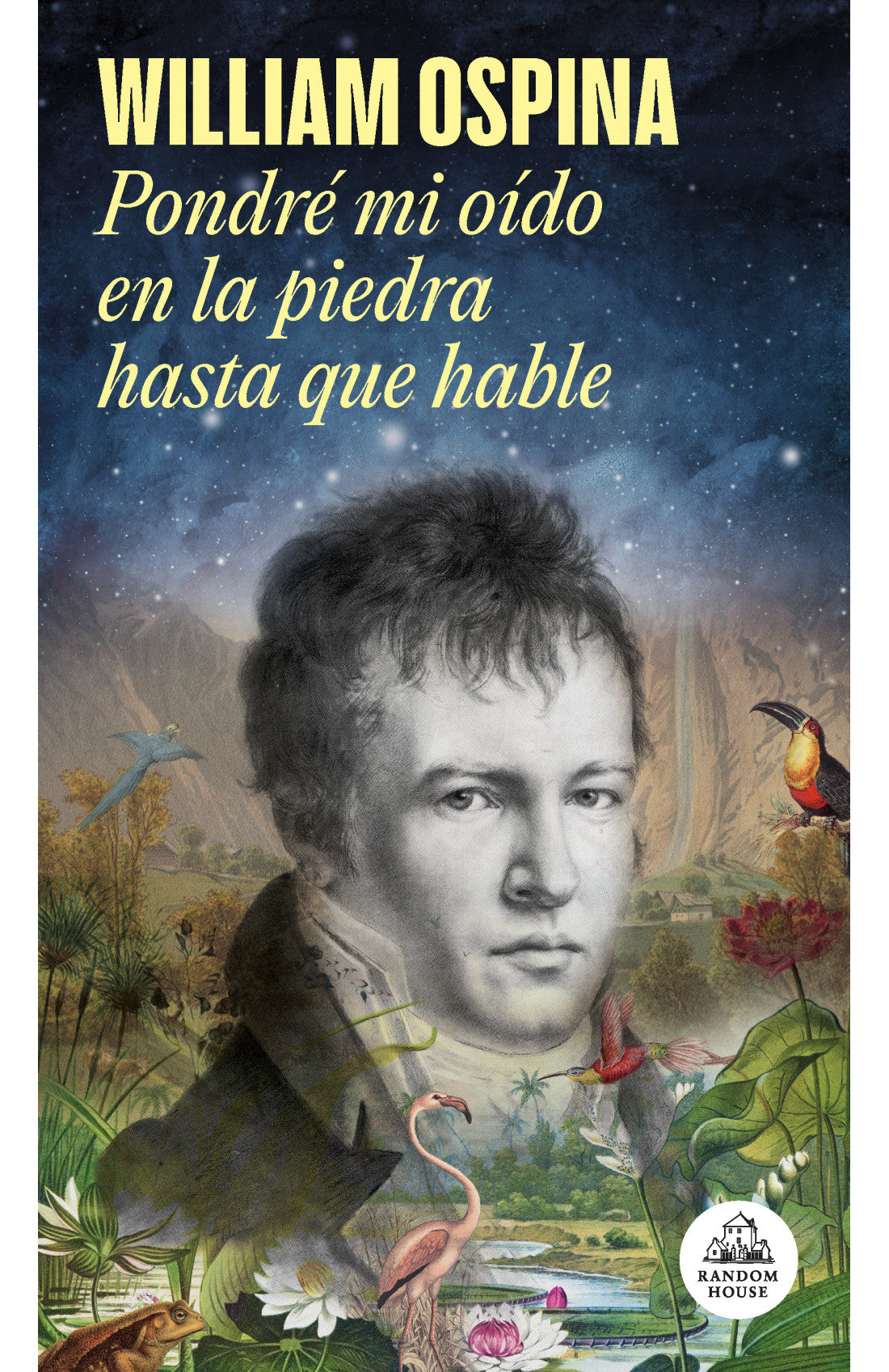 Pondré mi oído en la piedra hasta que hable